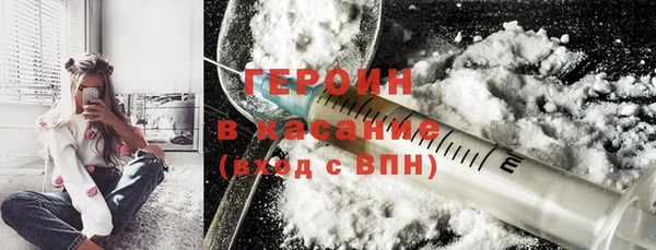индика Горняк
