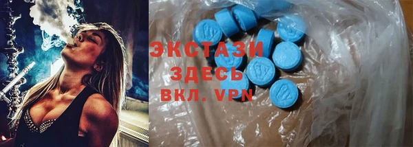 apvp Вяземский