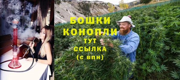 apvp Вяземский