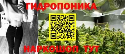 прущие крисы Донецк