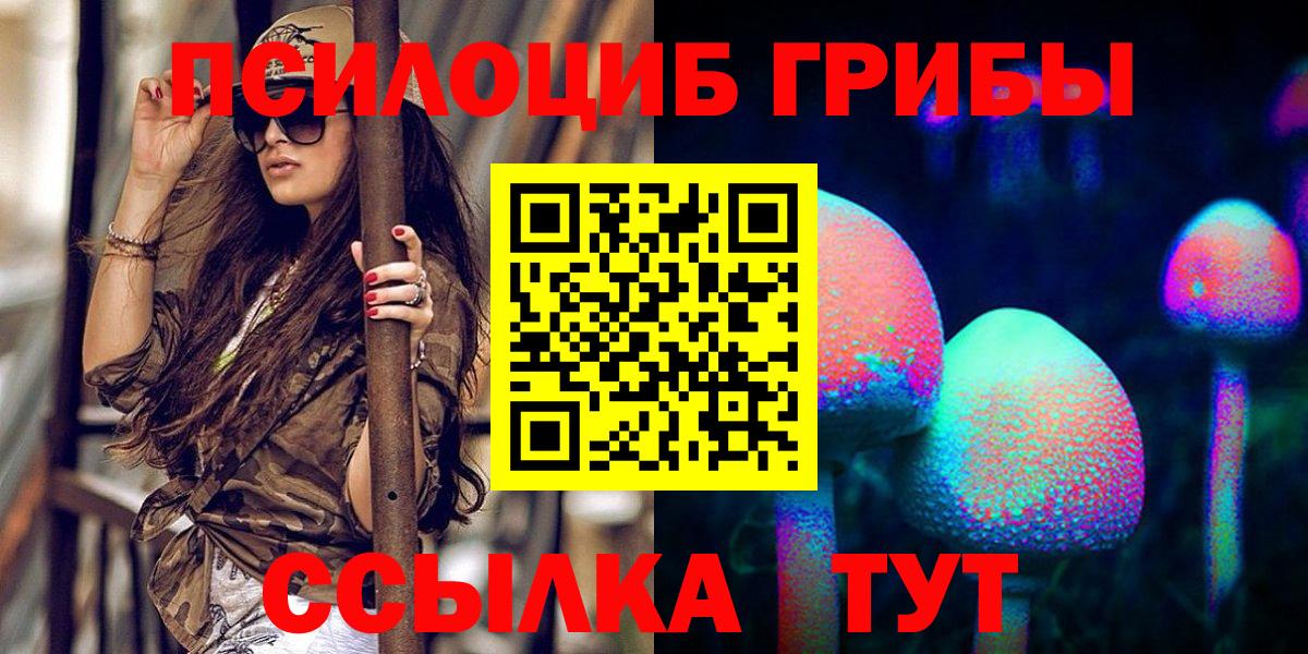 Псилоцибиновые грибы MAGIC MUSHROOMS Вязники