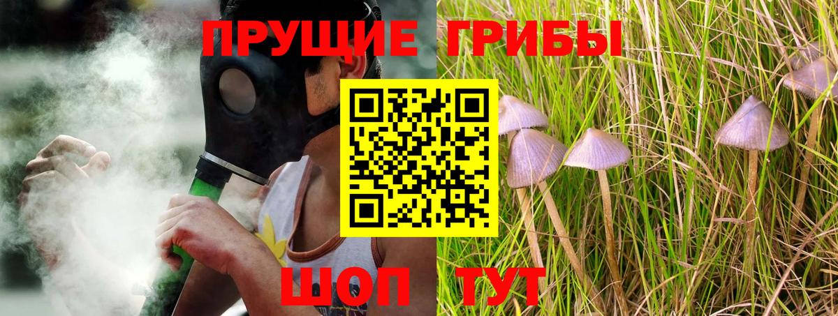 Галлюциногенные грибы мицелий  Вход с VPN  Псилоцибиновые грибы Cubensis  хочу наркоту  Вязники 