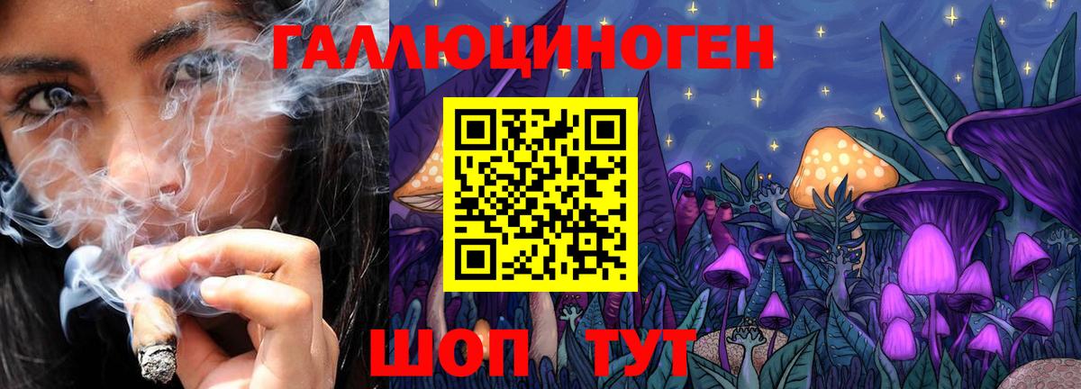 Псилоцибиновые грибы Psilocybine cubensis  Галлюциногенные грибы Magic Shrooms  Вязники 